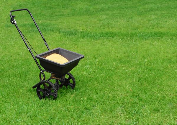 Burlington Lawn Treatment