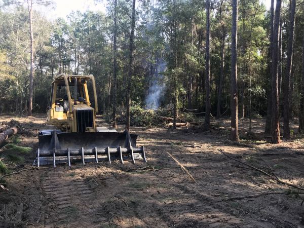 Burlington Land Clearing
